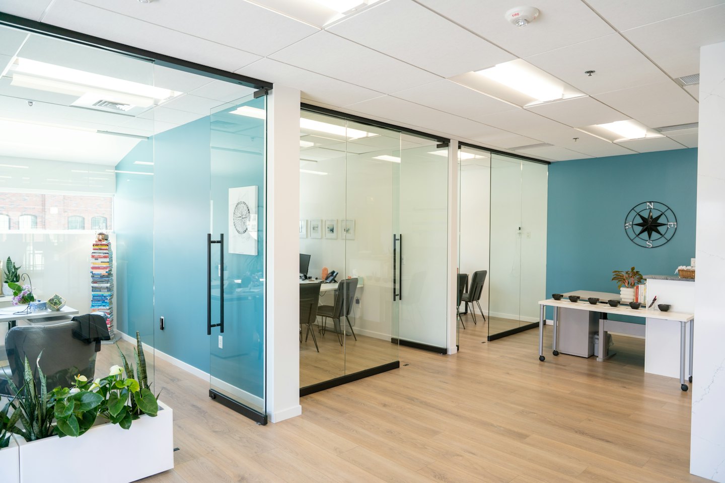 Sunlit modern office with glass walls and plants.